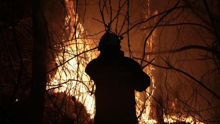 İstanbul Beykozda orman yangını