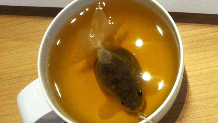 Çay fincanınızda Japon balığı var