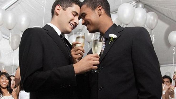 Slovenyada eşcinsel evlilikler yasası referanduma gidiyor