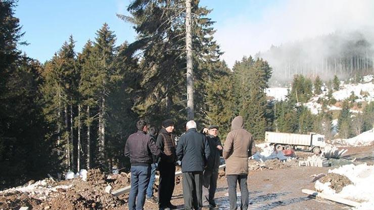 Orman Genel Müdürlüğünden Cerattepede ağaç kesilmesi açıklaması