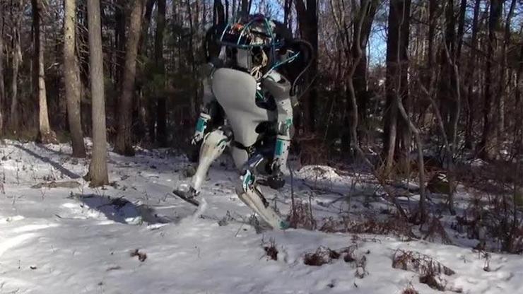 Yakında işinizi elinizden alması muhtemel Atlas Robot doğaya salındı