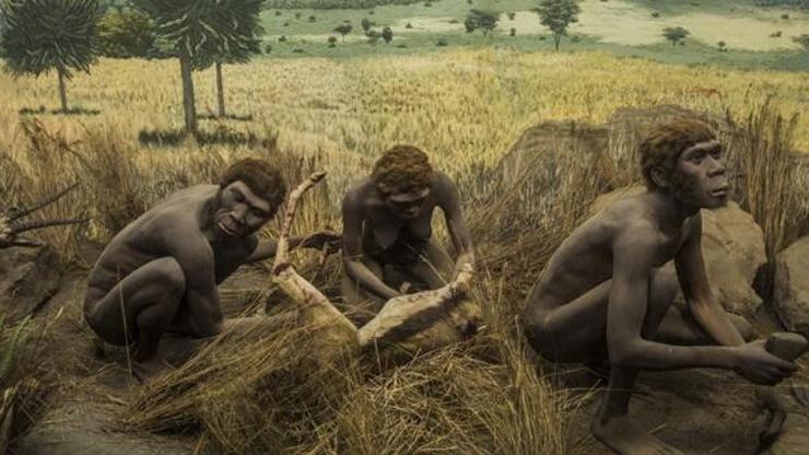 İlk kasaplar: Homo habilis türü