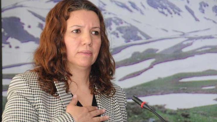HDP heyeti Yüksekovaya alınmadı