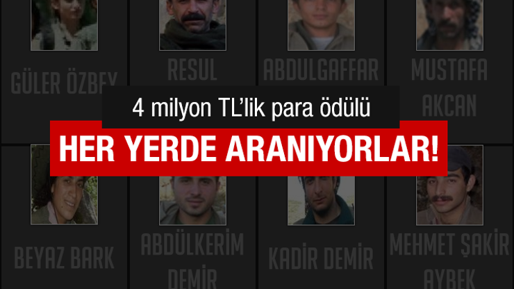 32 PKKlının fotoğrafları billboardlara asıldı