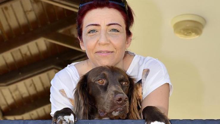 Ketaminle zehirlenen köpek için 7 yıl hapis
