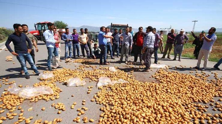 Patates eyleminde Erdoğana hakaret iddiası