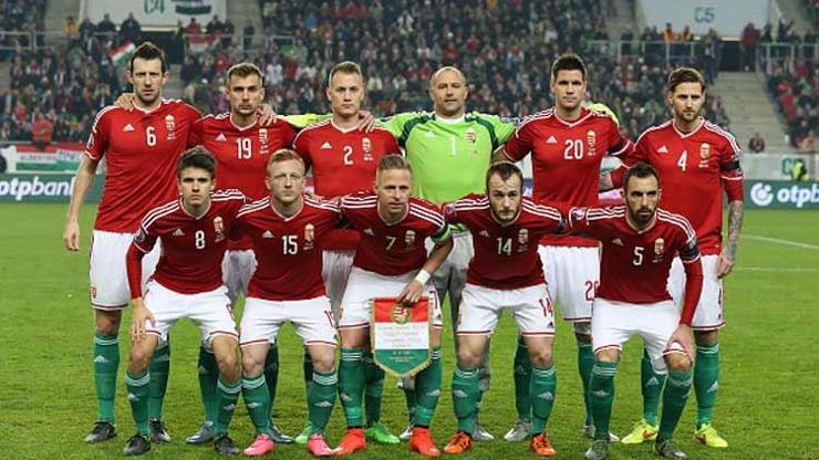 Macaristan - Euro 2016 F Grubu
