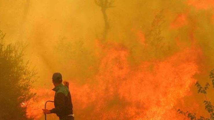Adrasandaki orman yangını kontrol altına alındı
