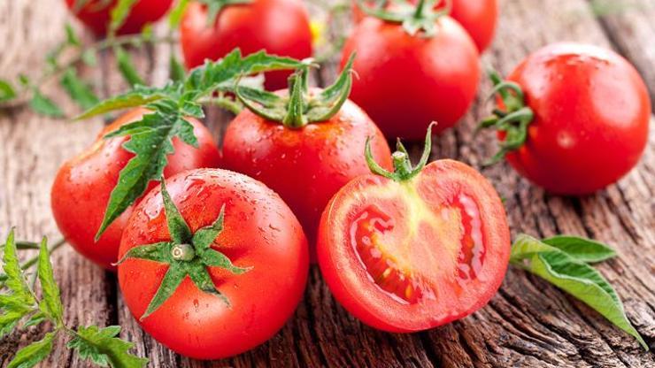 Rusyada Türk domatesi imha edildi