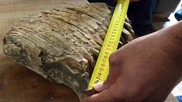 Konyada mamut fosili bulunduğu iddia edildi