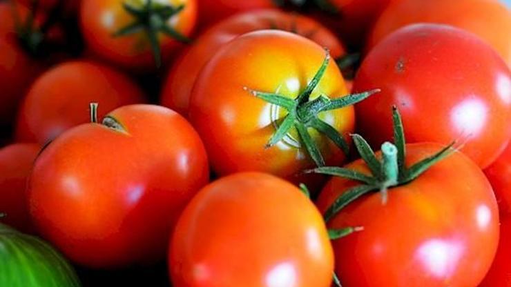 Soğuklar domatesin fiyatını yüzde 50 artırdı