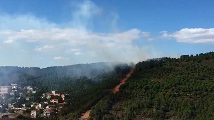 İstanbulda orman yangını