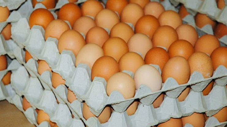 İşte yumurta fiyatlarındaki artışın nedeni