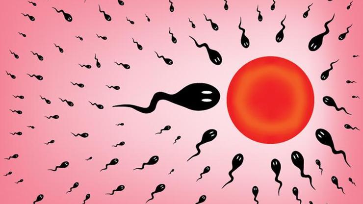 Tüp bebekte kuyruğu olmayan spermler de sonuç verebilmekte