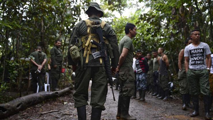 FARC gerillaları, rehber ve peynirci olacak