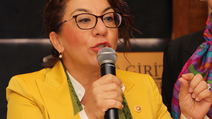 CHPli Biçer: Cumhurbaşkanı hakkında cinsiyet ayrımcılığından suç duyurusunda bulunacağım