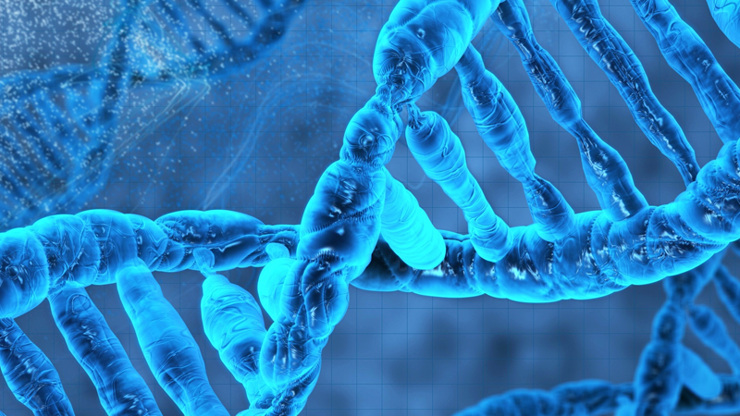 Sigara DNAda mutasyona neden oluyor