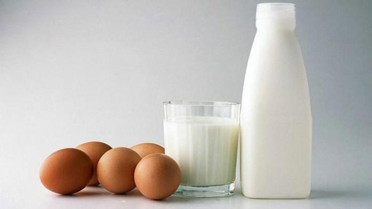Yumurta ve  süt üretimi arttı