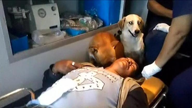 Sarhoş adama ambulansta köpeklerinden ilk yardım