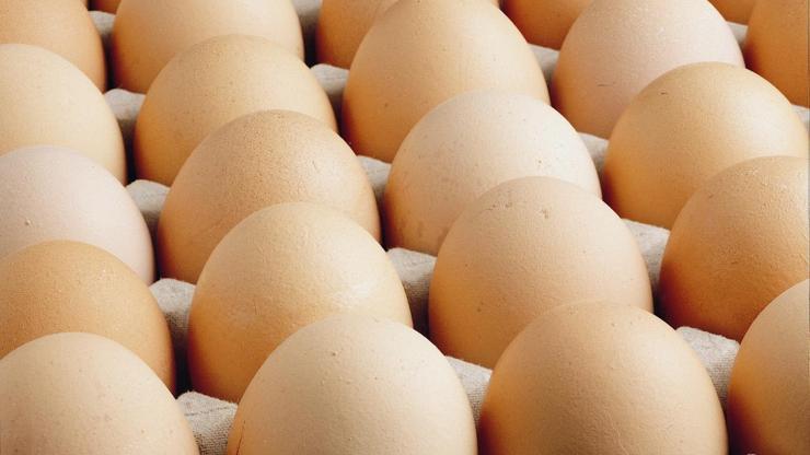 Gerileyen yumurta fiyatlarını yükseltecek öneri