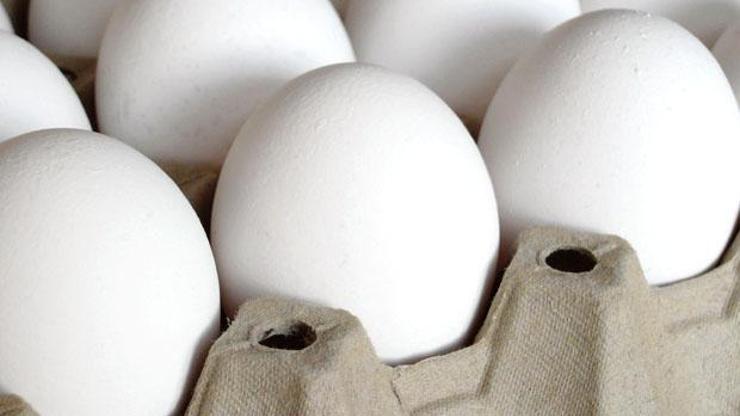 Yumurtada ihracat 300 milyon dolara dayandı