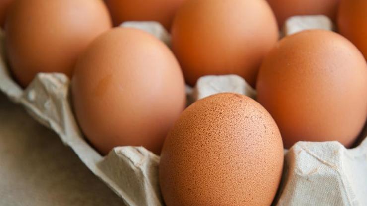 Yumurta fiyatları çok normal