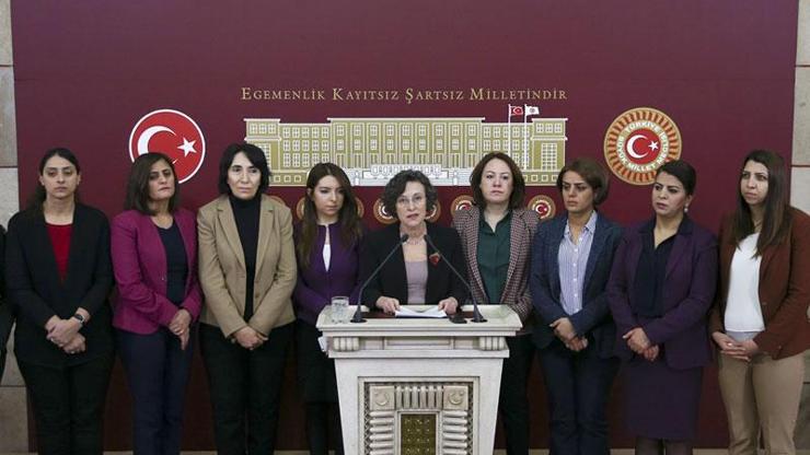 HDPli Filiz Kerestecioğlu: Pervin Buldanın göğsüne tekme attı