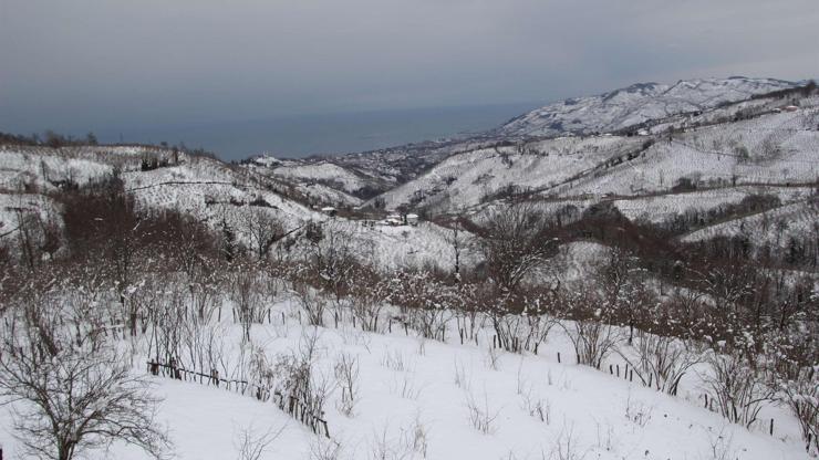 Ordu’da kar kalınlığı 70 santimi geçti: 313 köy yolu kapandı
