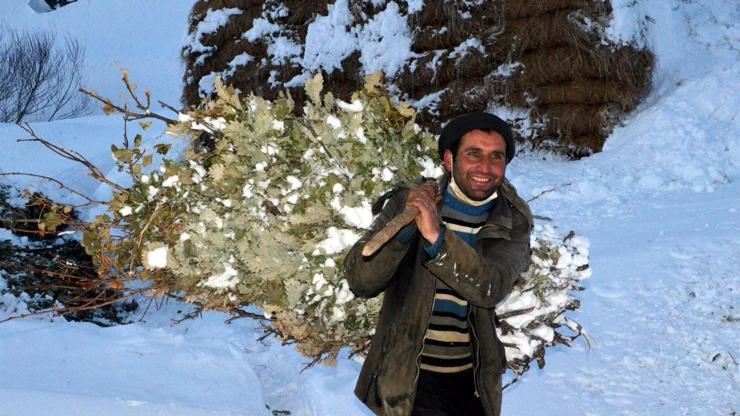 Bitliste soğuk hava hayvan bakımını zorlaştırdı