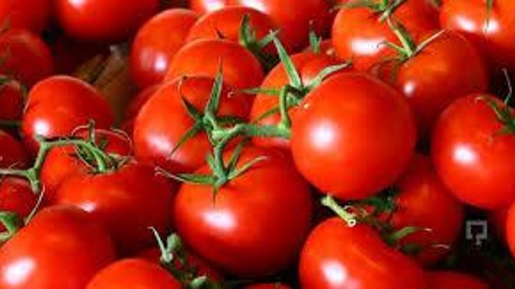 Rusyanın 50 bin tonluk domates açıklaması, yarım elma gönül alma gibi