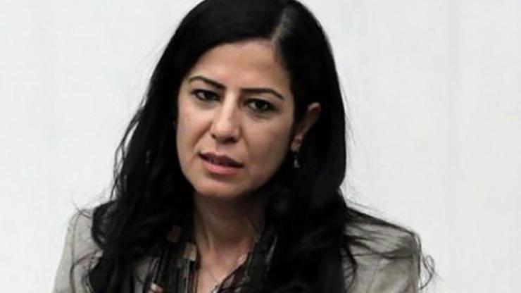 HDPli Ayla Akat Ata hakkında 95 yıla kadar hapis istemiyle dava