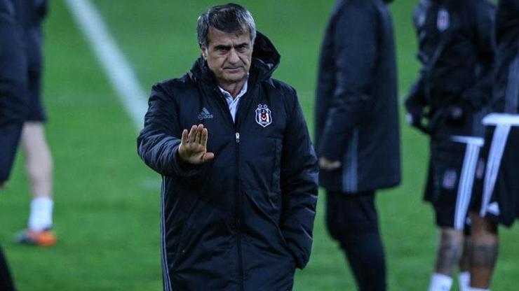 Şenol Güneş: Yarın sayarım