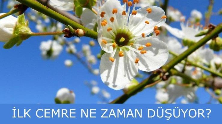 2017 Cemre ne zaman düşecek | Yağmurla birlikte Cemre geliyor