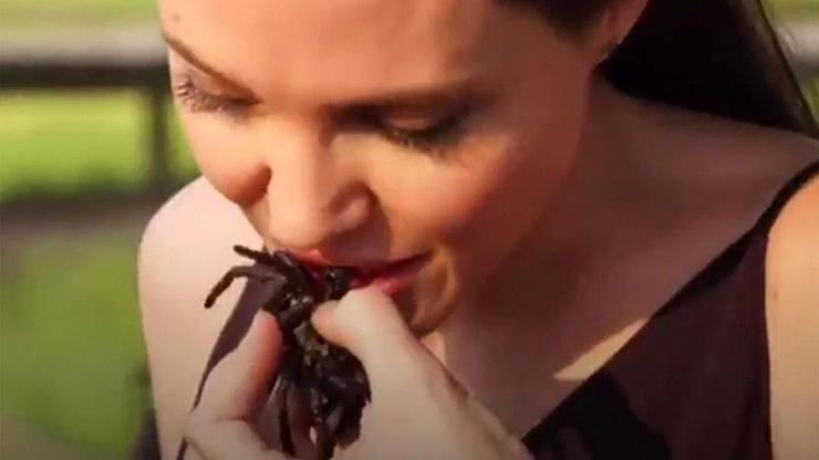 Angelina Jolie canlı canlı örümcek yedi
