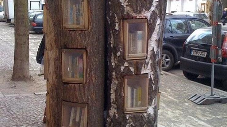 Ağaç deyip geçme: Berlinde bir kitap okuma hareketi