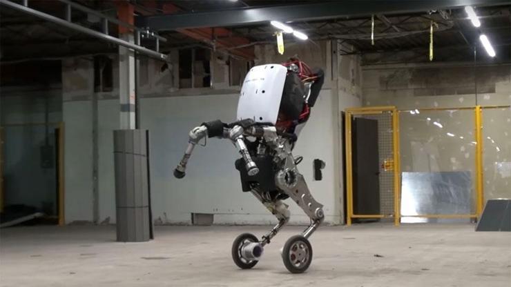 Zıplayan robot Handle