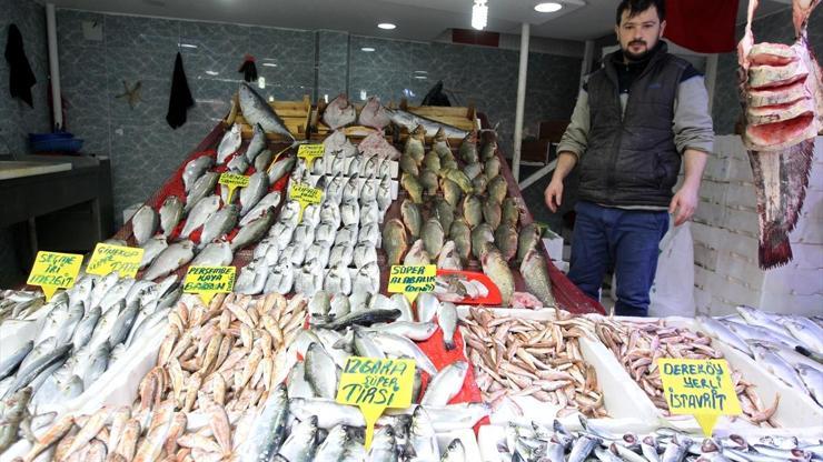 Havalar ısındı balık fiyatları düştü