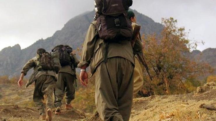 7 bin kişilik dev operasyonda yeşil kategoride aranan PKKlı öldürüldü