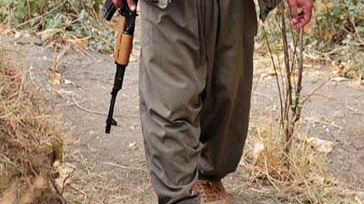 Terör örgütü PKKnın bölge sorumlusu öldürüldü