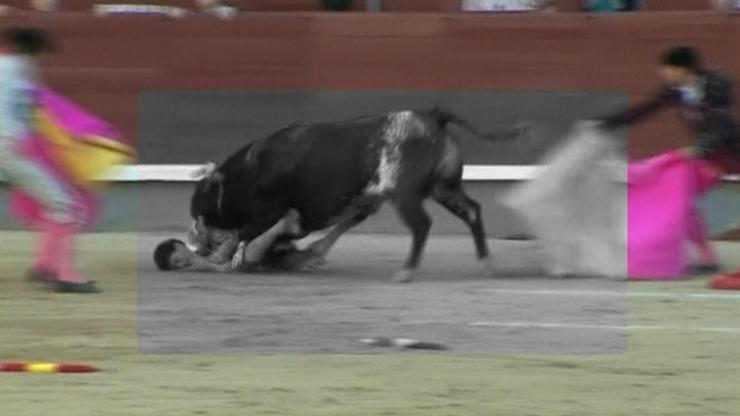 Genç matador boğanın gazabından kaçamadı