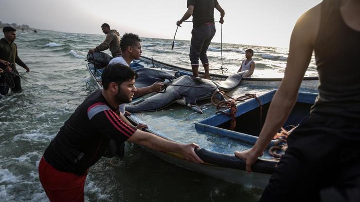 Gazzede vatoz bereketi