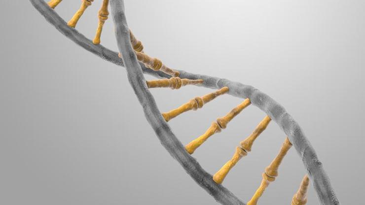 DNA’lardaki muazzam güç açığa çıkıyor