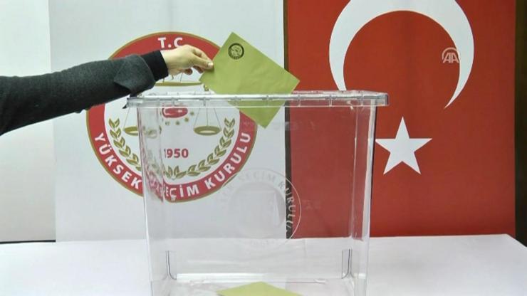 Oy kullanırken nelere dikkat etmeli
