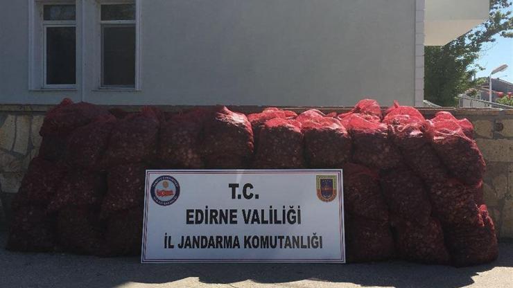 Edirnede 2 ton kaçak midyeye, 1208 lira ceza