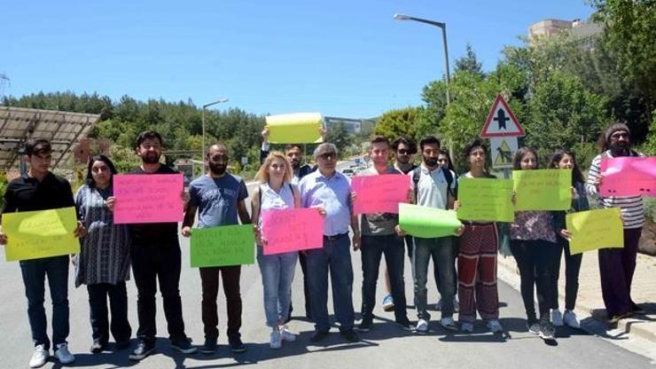 Kediler için yola yatıp kasis oldular