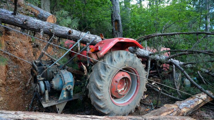 Orman işçisinin üzerine ağaç devrildi