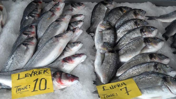 Balık fiyatlarında Ramazan indirimi