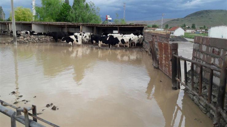 Karamanda dere taştı köy sular altında kaldı