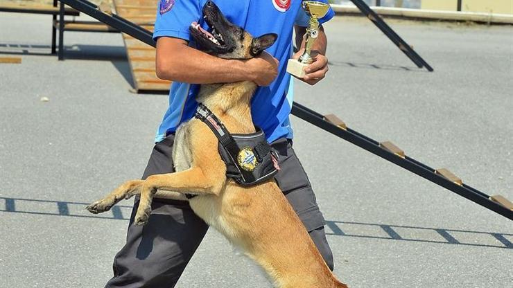 Arama yarışmasının birincisi sevimli köpek Hera oldu