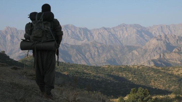 Başta İstanbul, metropolleri kana bulayacaklardı: Dağ kadrosundan 8 PKK’lı yakalandı